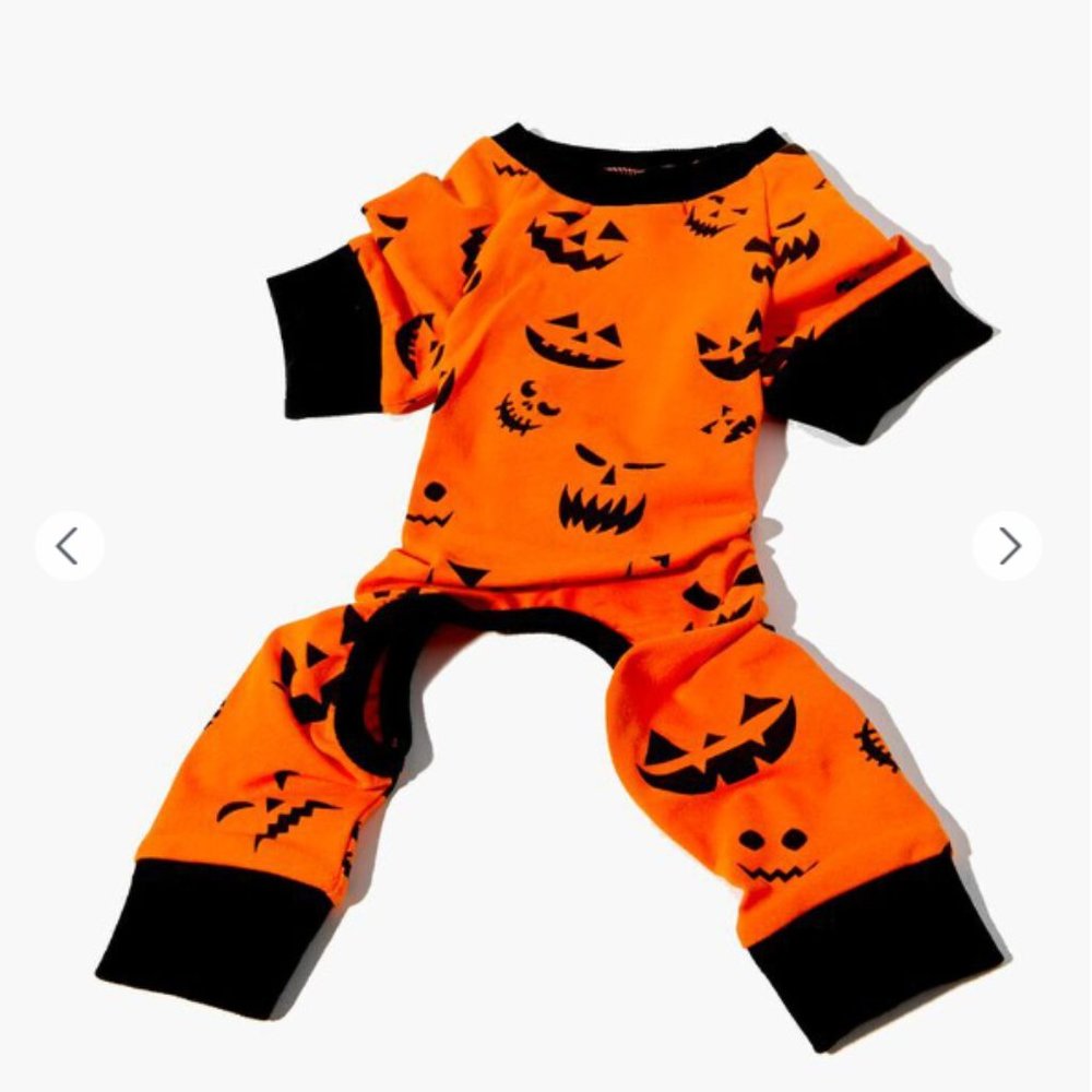 HOLLOWEEN CUSTOM FOR PETS